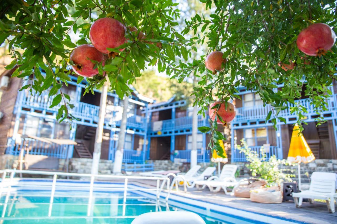 Olympos Cinar Hotel Zewnętrze zdjęcie